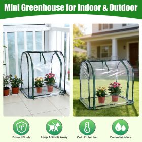 Indoor Outdoor Mini Greenhouse, Pest & Weather Protection Small Greenhouse for Herbs Succulents Dwarf Edibles for Herbs Succulents Dwarf Edibles
